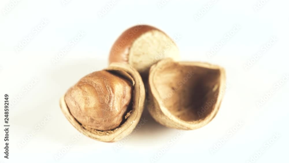 Hazelnut ingredient for sweets, cakes and sweets Hazelnut ingredient for sweets, cakes and sweets