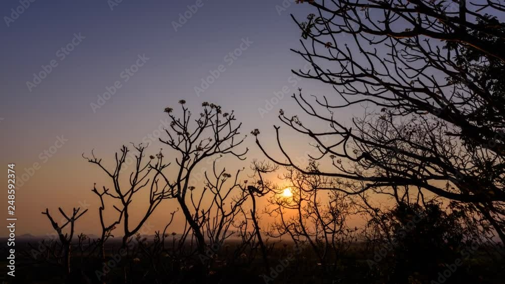 Day to night time lapse of sunset with tree limb Day to night time lapse of sunset with tree limb
