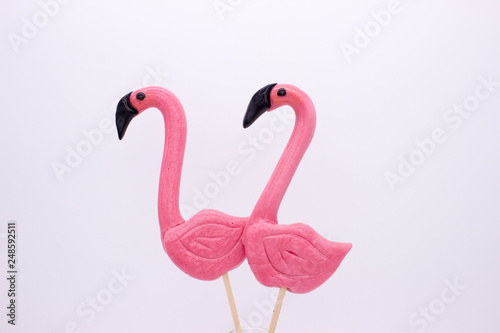 Lollipops in the form beautiful flamingo © CuteIdeas