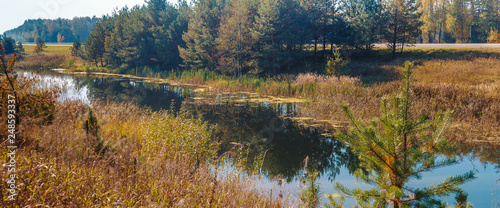 Beautiful forest lake in Belarus. Summer sunny day. Belarusian nature from beautiful places of the country.Long banner