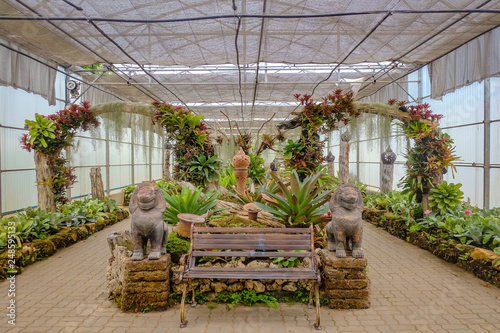 Chiangmai/Thailand - 17 july 2017:Beautiful Garden field in Greenhouse at Queen Sirikit botanic garden