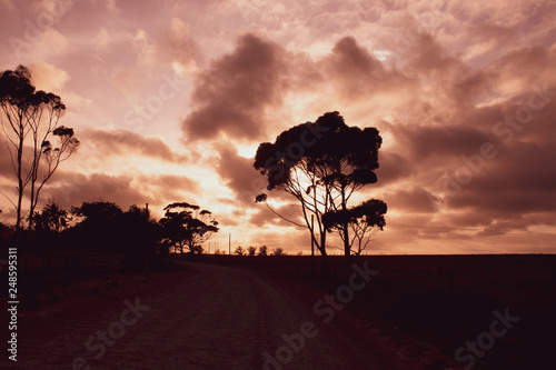 Amazing cloudy sunset in the african bush. South Africa Garden Route; magic pink sky