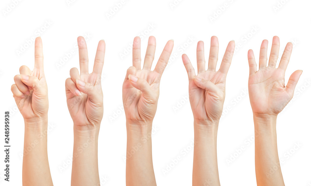 women hand signs are counting Using fingers symbol set of number one women hand signs are counting Using fingers symbol set of number one