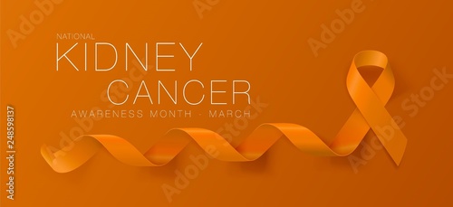 National Kidney Cancer Awareness Month. Orange Color Ribbon Isolated On Transparent Background. Vector Design Template For Poster.