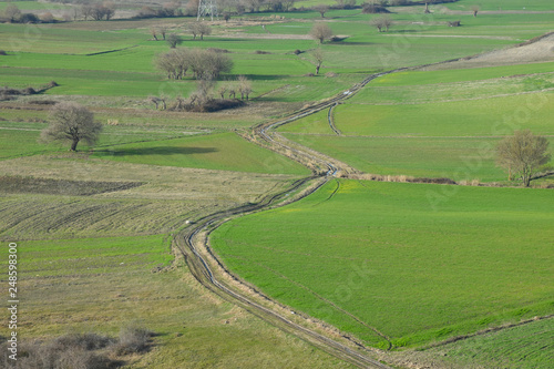 village road, green fields and trees