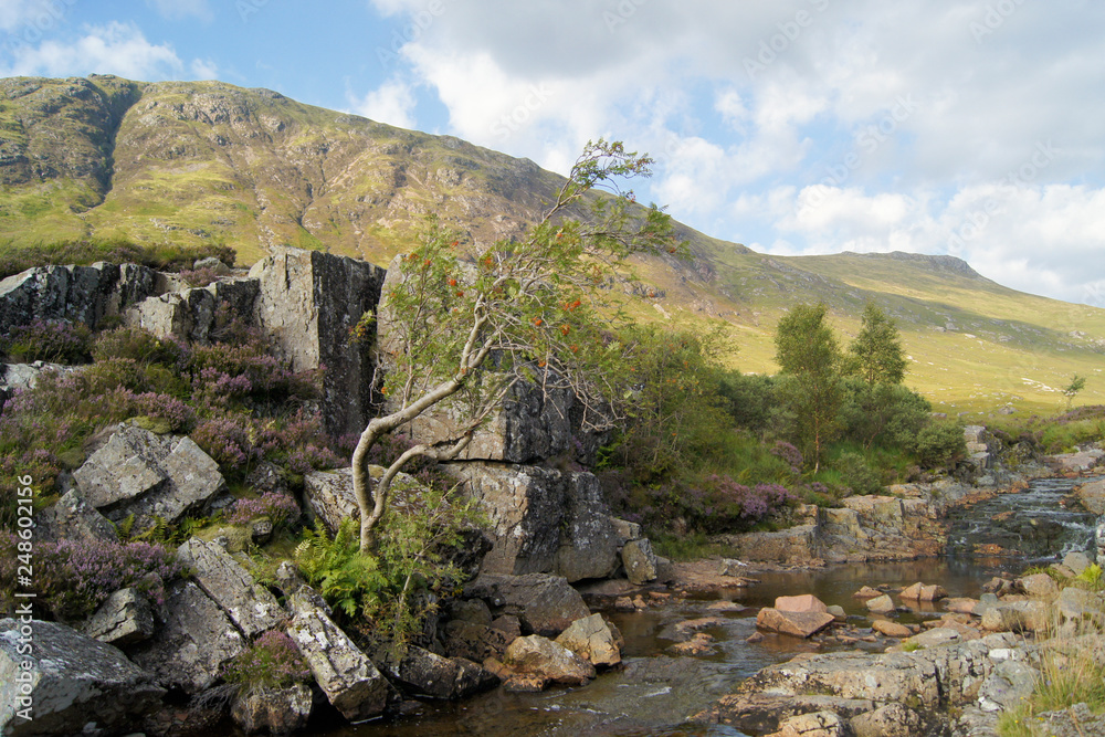 Stream with rocks in Glen Coe, Scotland