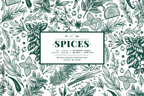 Culinary herbs and spices banner template. Vector background for design menu, packaging, recipes, label, farm market products. Hand drawn vintage botanical illustration.