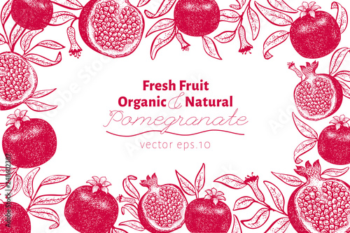 Pomegranate fruit design template. Hand drawn vector fruit illustration. Engraved style vintage botanical background. Can be use for design menu, packaging, recipes, market products.