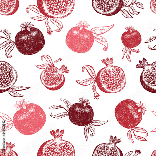 Pomegranate fruit seamless pattern. Hand drawn vector fruit illustration. Engraved style vintage botanical background. Can be use for design menu, packaging, recipes, market products.