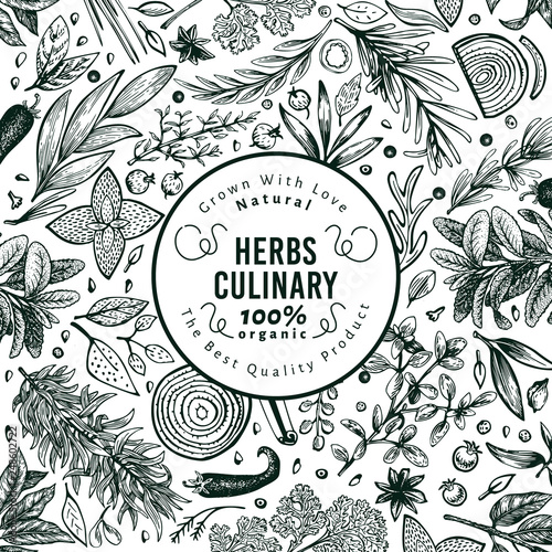 Culinary herbs and spices banner template. Vector background for design menu, packaging, recipes, label, farm market products. Hand drawn vintage botanical illustration.