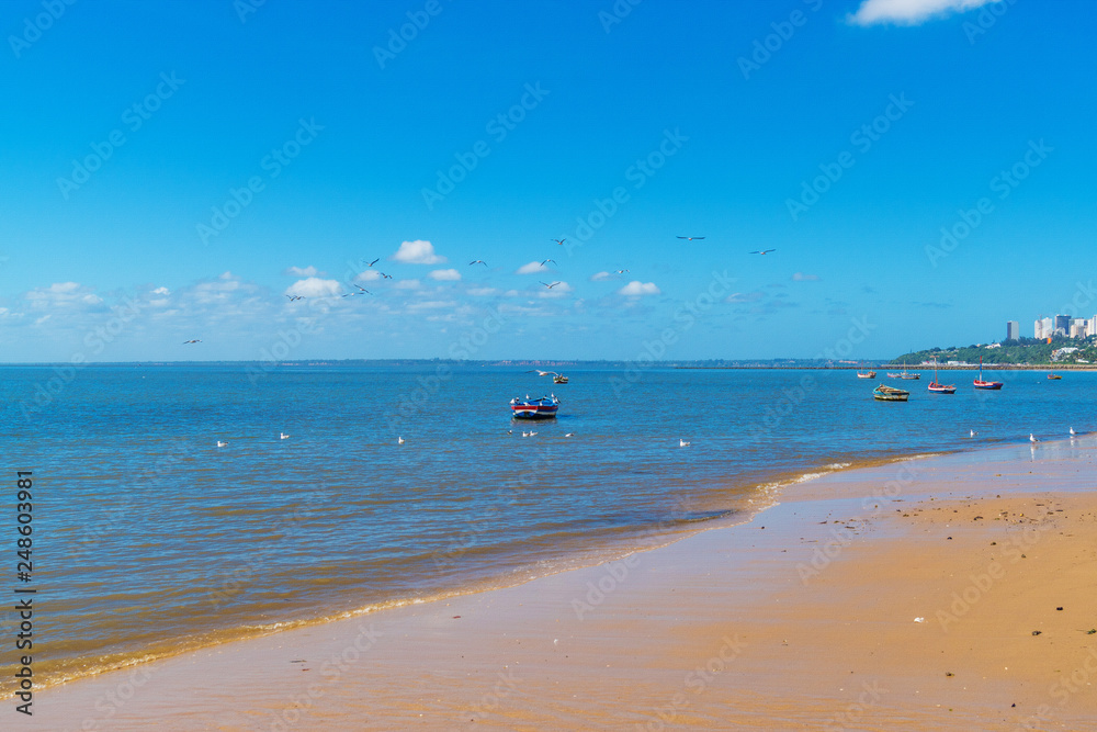 Fishing boats in the Indian Ocean in Africa in Mozambique