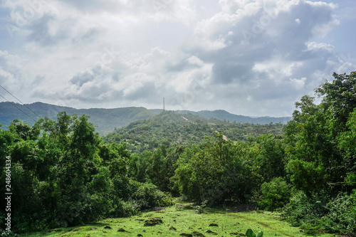 Rainforests and vegetation on the peninsula near the village of Gokarna. India
