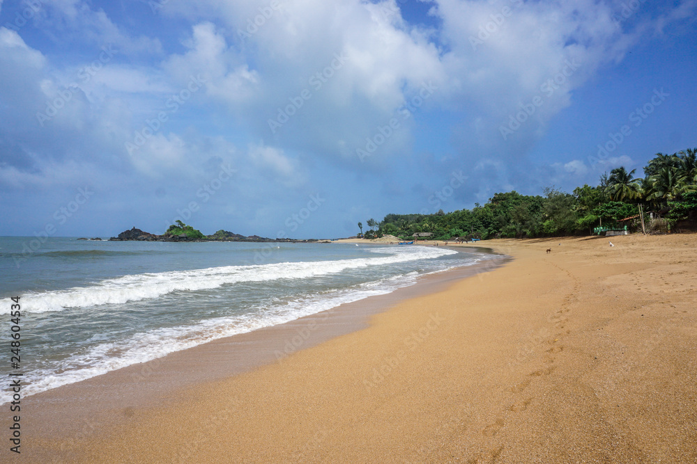 Flora and fauna of the tropical peninsula. Gokarna Village, India Flora and fauna of the tropical peninsula. Gokarna Village, India