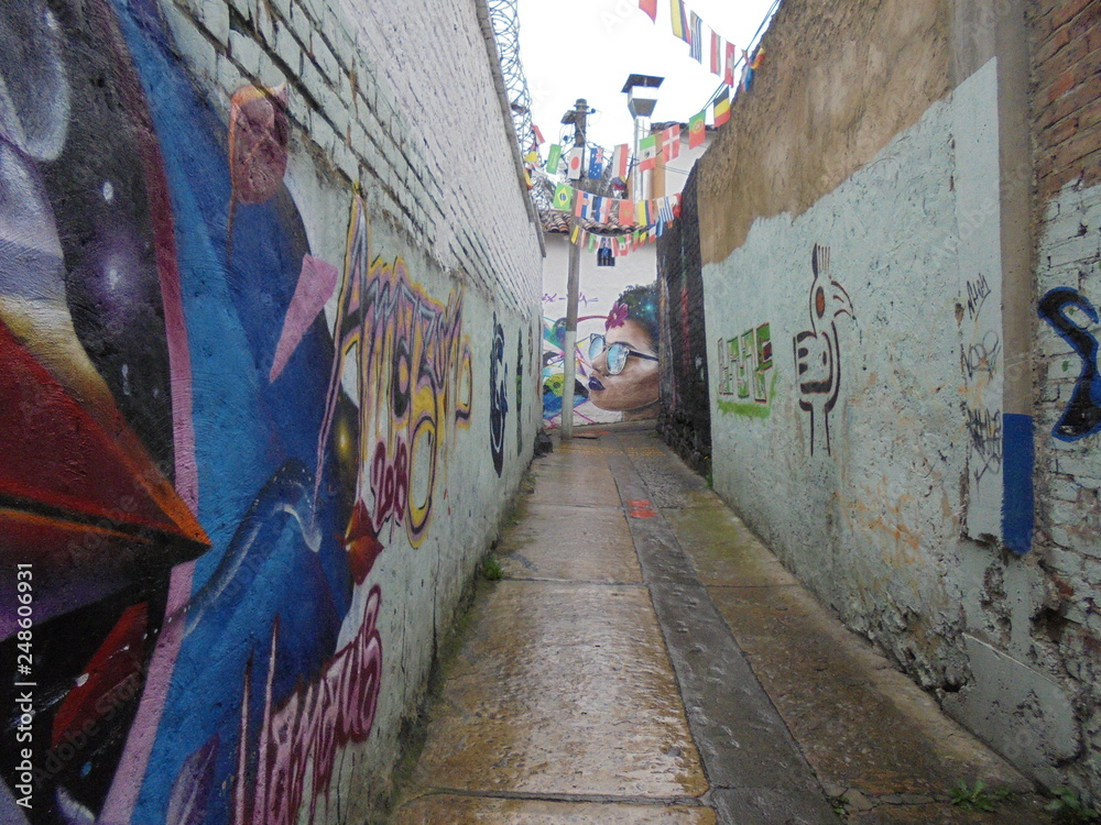 Fototapeta Sztuka uliczna w Bogocie