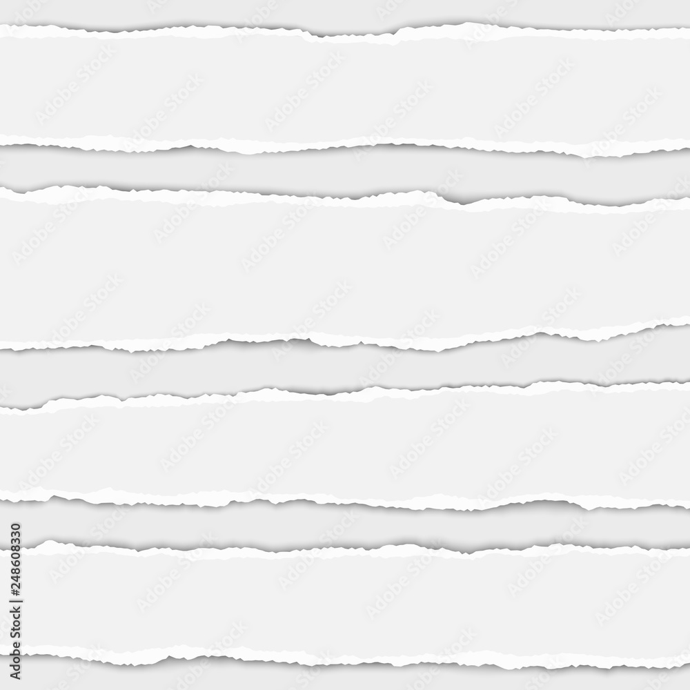 Several vector torn white paper stripes with shadow placed on white background. Realistic ripped paper pieces.