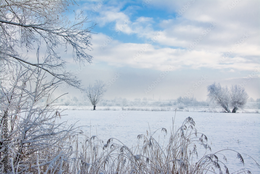 Fototapeta piękny zimowy krajobraz