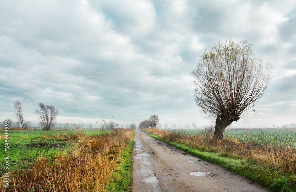polna droga, piękna jesień polna droga, piękna jesień