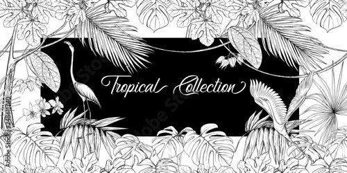 Template for greeting card,  invitation or banner  with tropical plants
