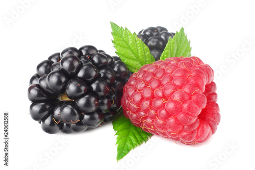 blackberries with raspberries and green leaf isolated on white background. macro