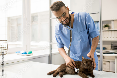 Veterinary treatment photo