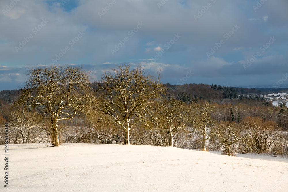 Winter bei Langenrain Winter bei Langenrain