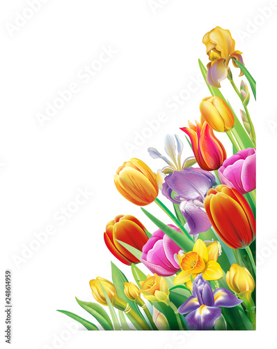 Arrangement with multicolor spring flowers over white background