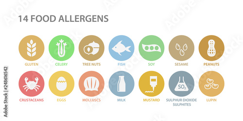 Food allergens white icons in pastel colorful circles. 14 food allergens vector circle icon set. Peanut, gluten, lactose soy allergy icons. Menu list of allergies.
