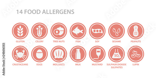 14 food allergens menu list circle icon set. Food allergen white icons in pink circles. Gluten, eggs, milk, nuts allergy vector icons.