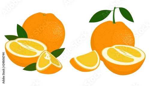 Orange whole, half and slice of orange with leaves on white background. Citrus fruit. Vector illustration of oranges on white background.