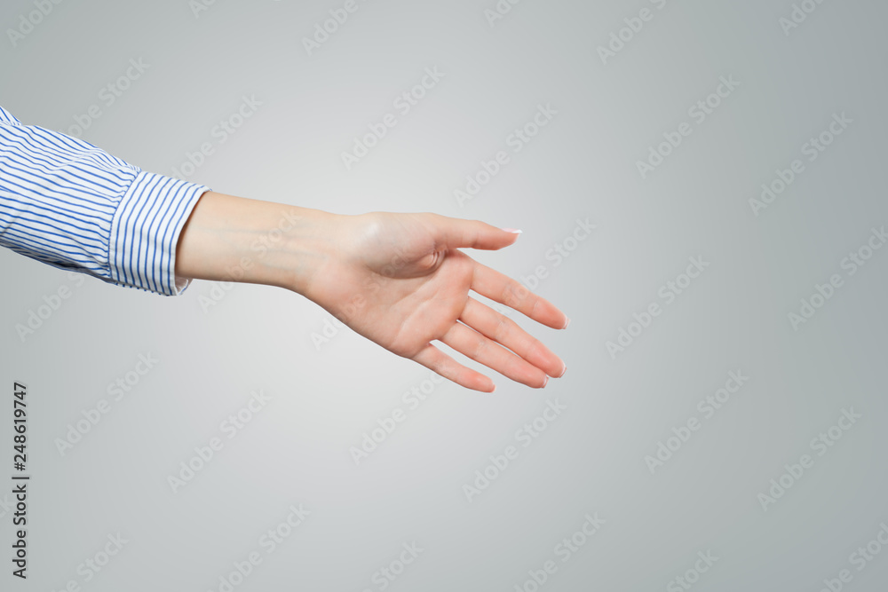 Handshake woman. Shaking female hand only.