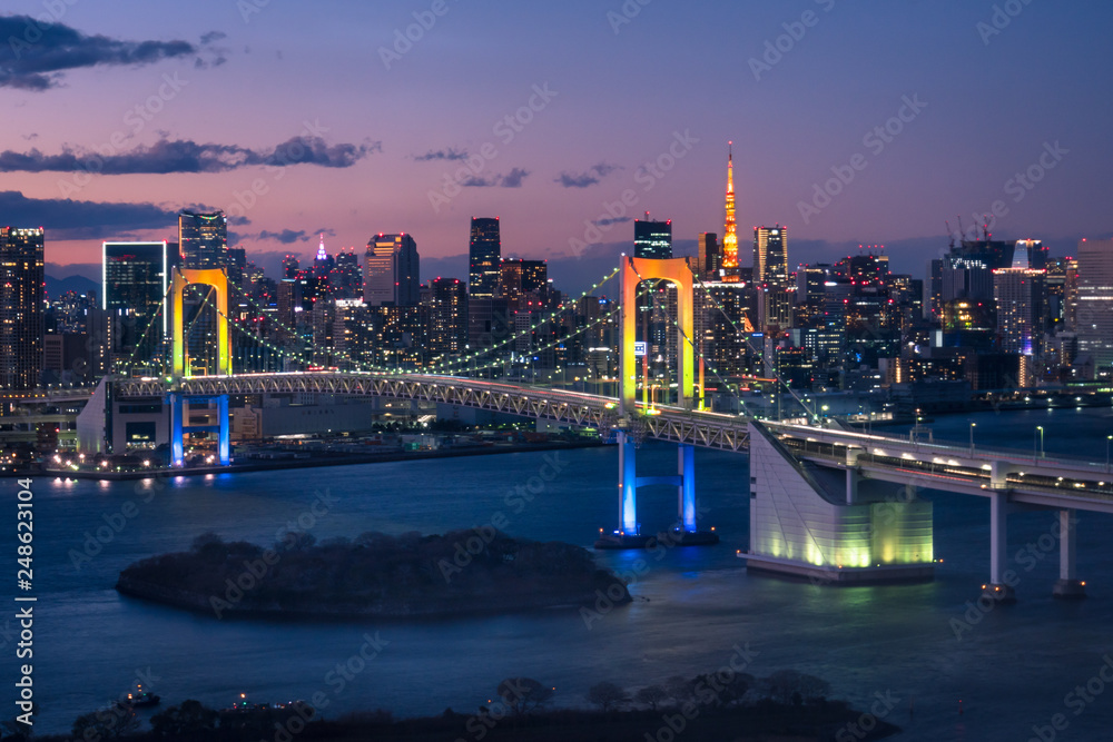 Obraz premium 東京湾の夜景 レインボーブリッジとビル群２