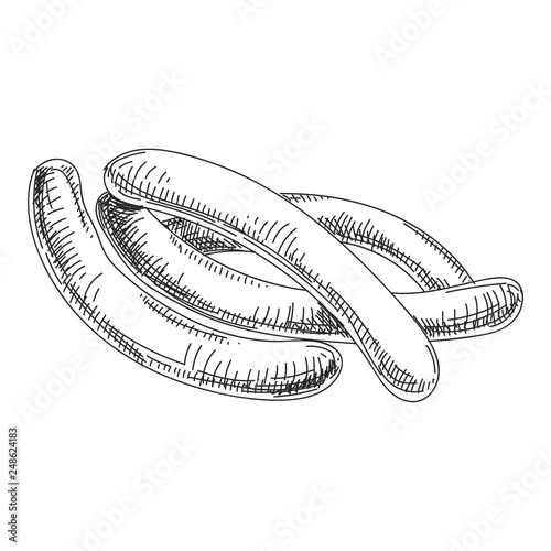 Beautiful vector hand drawn sausages Illustration.