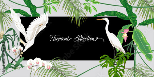 Template for greeting card,  invitation or banner  with tropical plants