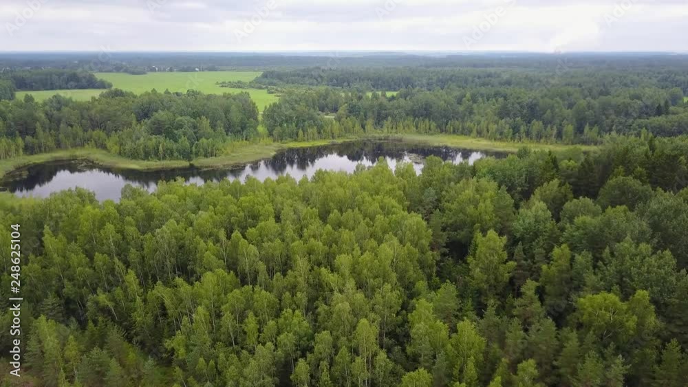Small lake in the forest Small lake in the forest