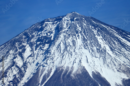 Fototapeta Naklejka Na Ścianę i Meble -  冬の富士山、1月の富士山、田貫湖、快晴富士、冬富士