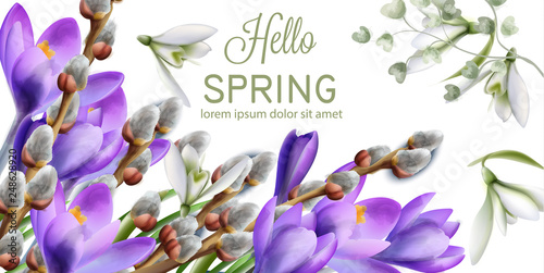Crocus flowers Vector watercolor. Spring season delicate frame. Template desi...