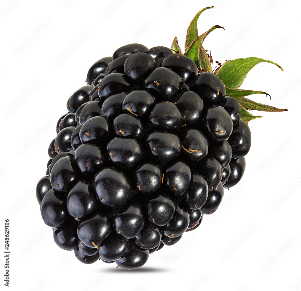 Fresh blackberry isolated on white background with clipping path Fresh blackberry isolated on white background with clipping path