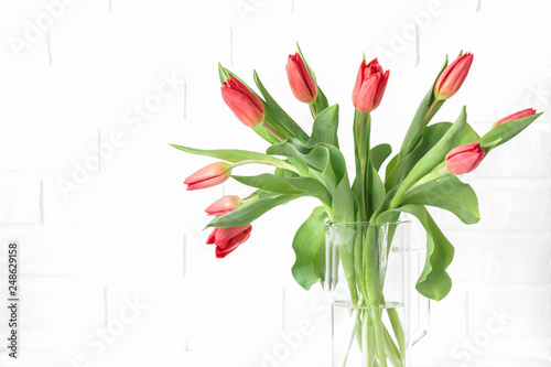 Beautiful bouquet of red tulips in a vase isolated on the white background with copy space for your text.