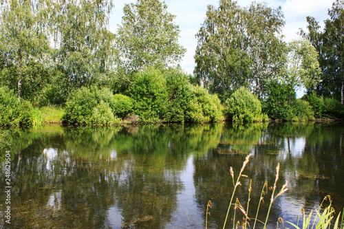 Lake image. Forest Lake. Summer landscape. The lake is surrounded by trees.