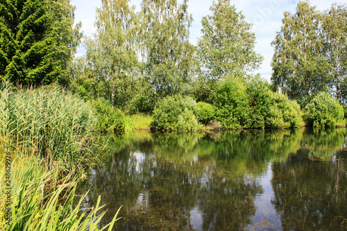 Lake image. Forest Lake. Summer landscape. The lake is surrounded by trees.