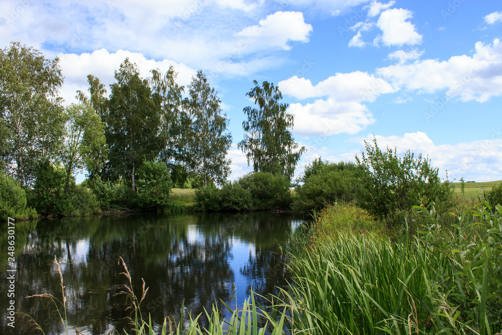 Lake image. Forest Lake. Summer landscape. The lake is surrounded by trees.