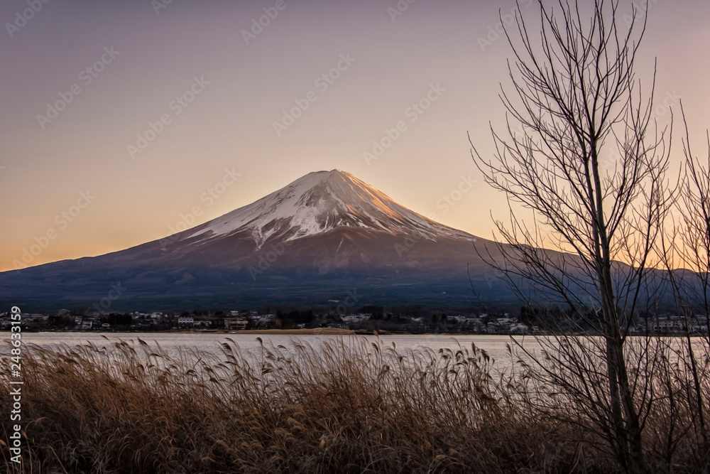 Mount Fuji viewed from Kawaguchi lake at sunset, Japan	