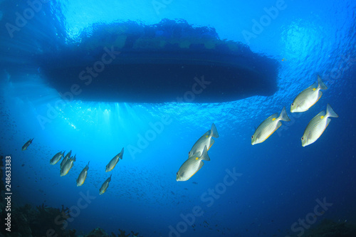 Below a scuba diving boat 