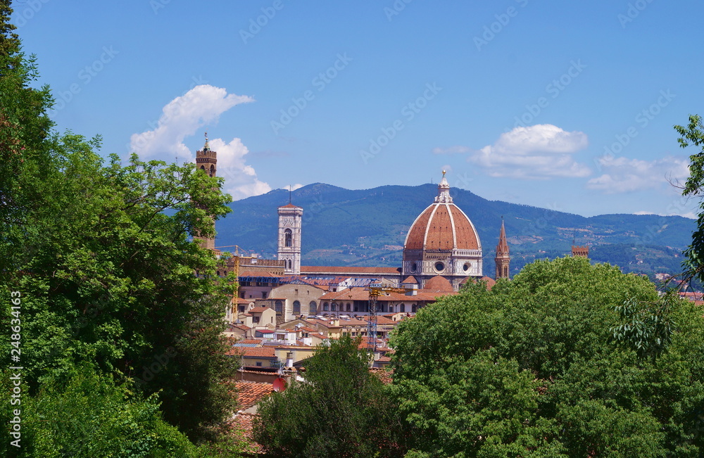 Obraz premium View of Florence from Bardini garden, Italy