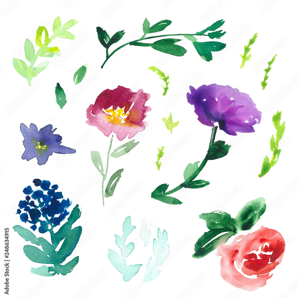 Set of watercolor botanical elements on white background.