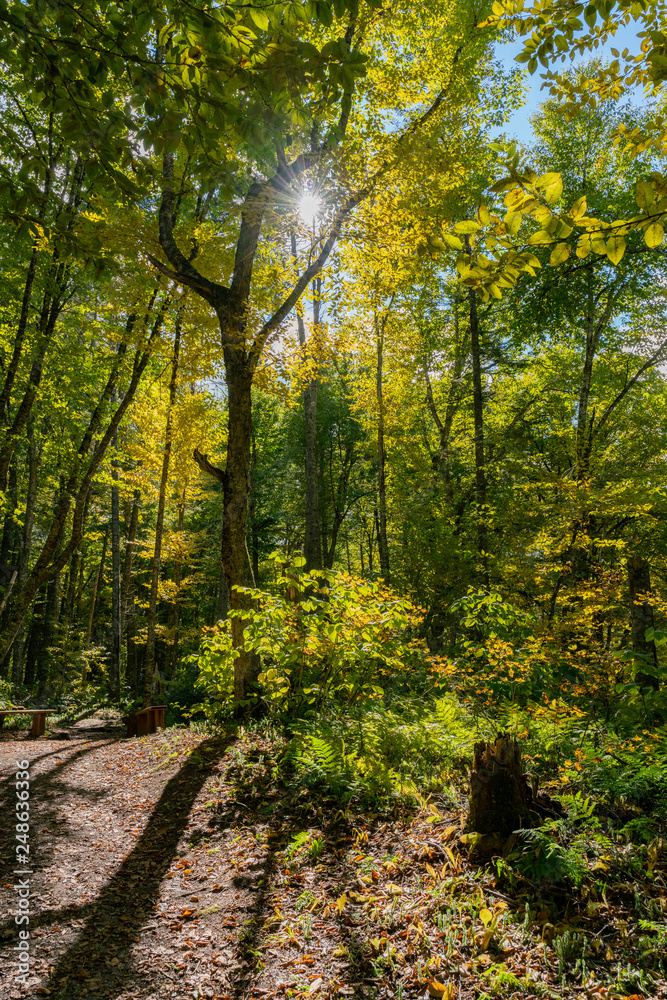 Beautiful fall color of Jacques-Cartier National Park Beautiful fall color of Jacques-Cartier National Park