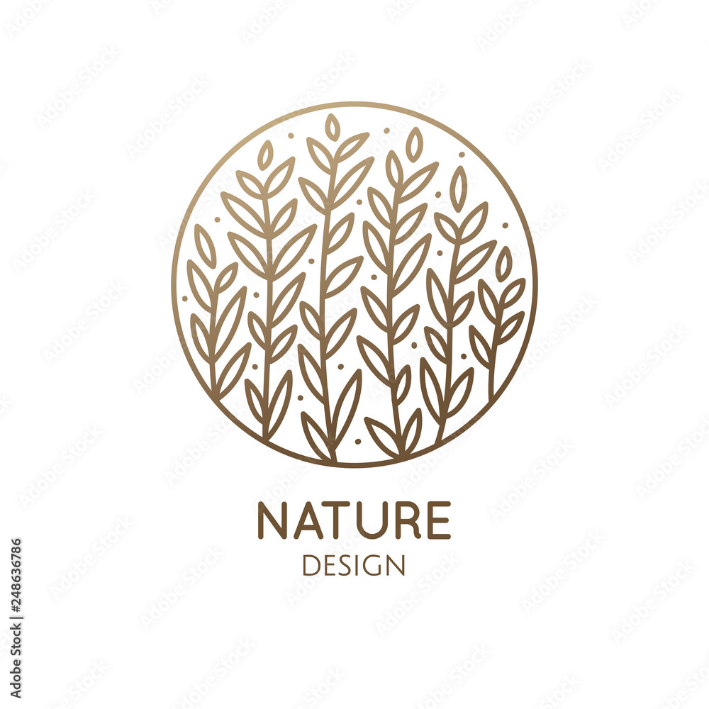 Tropical decorative plant Tropical decorative plant