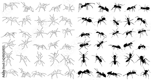 ant crawling silhouette, set, collection