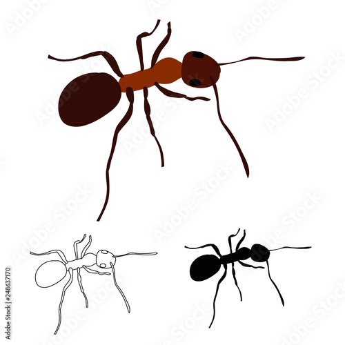 ant, insect, silhouette and sketch