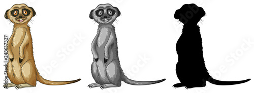Canvas-taulu Set of meerkat cartoon character